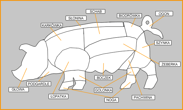 zdjęcia schematu świni